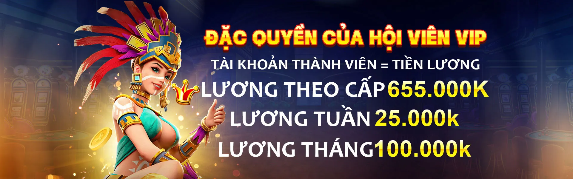 Chương trình VIP vmn với các đặc quyền độc đáo
